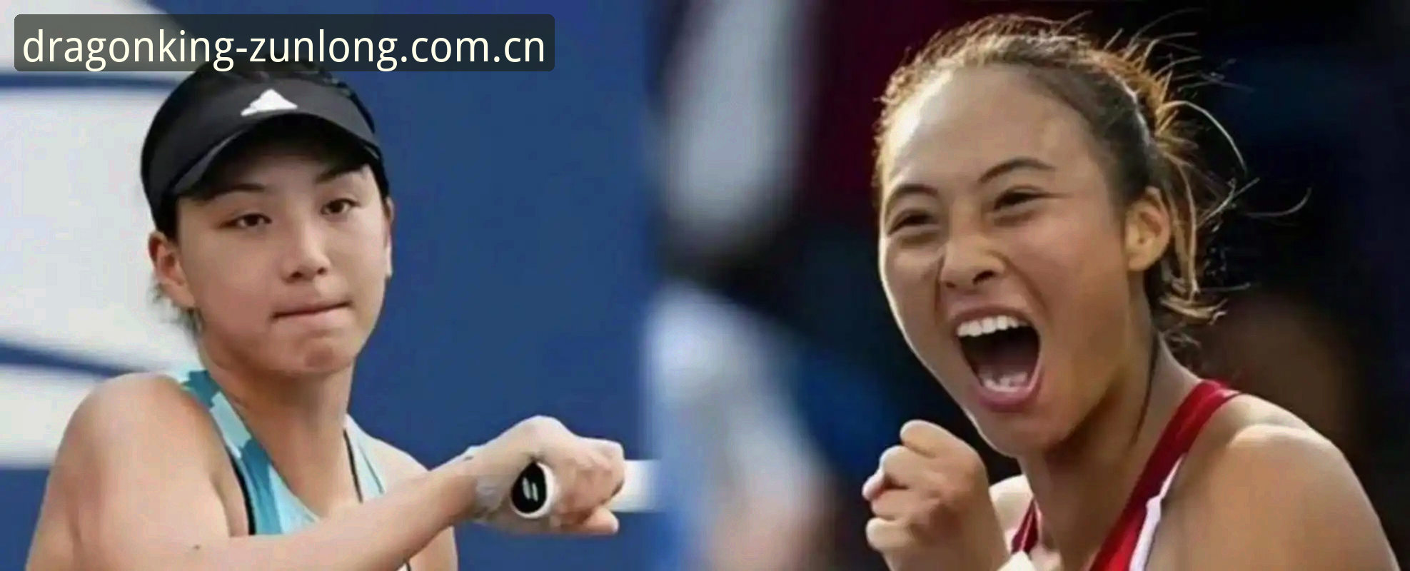尊龙2026版下载下载不了怎么办 郑钦文vs王欣瑜:2026法网女单中国金花命运大不同,尊龙官网入口深度解读